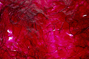 Bild: Starch-Based Bioplastic